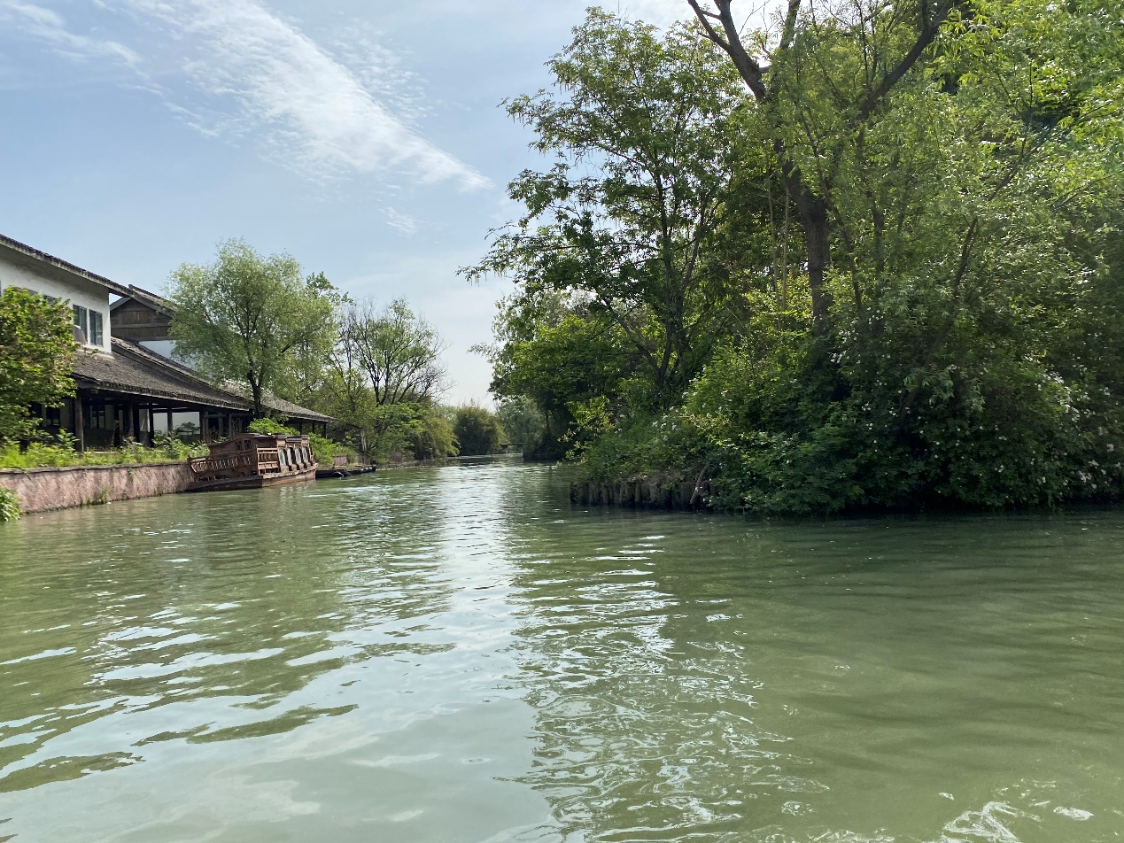 C:\Users\chjin\Desktop\宋城、西溪照片\西溪9.jpg